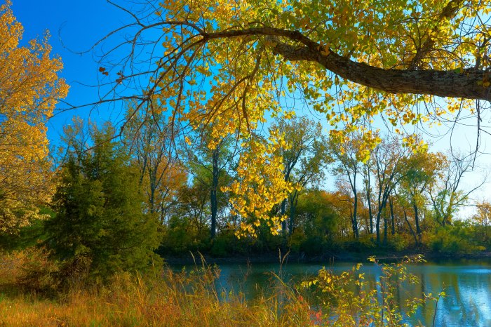 Fall Colorfest in my Backyard