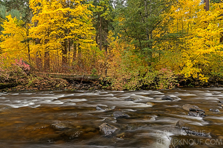 Trout Creek Fall Color