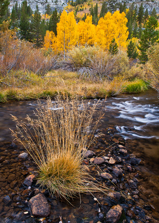 Bishop Creek