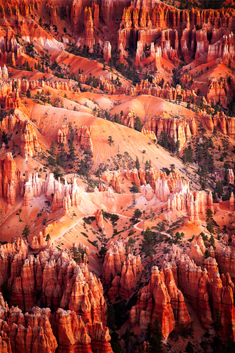 One from Last Month's Impromptu Bryce Run