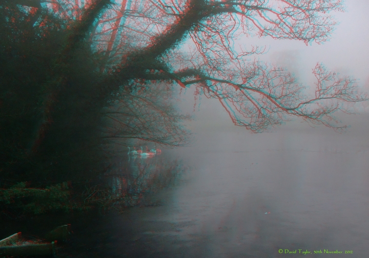 A foggy scene + one for DavidS