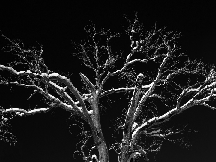 Skyward