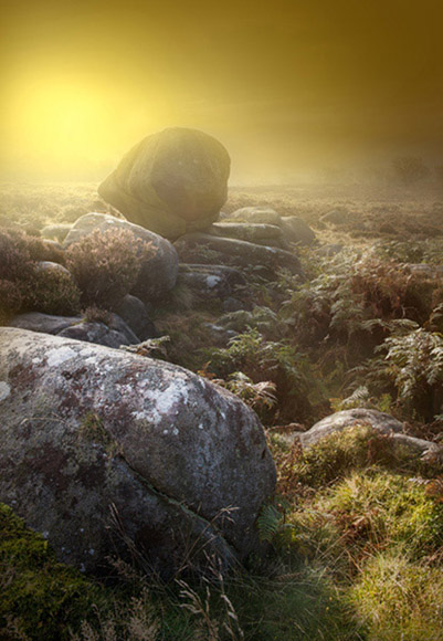 Dawn Mist