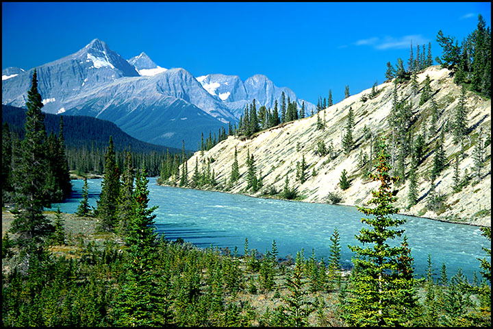 Morning at Saskatchewan Crossing