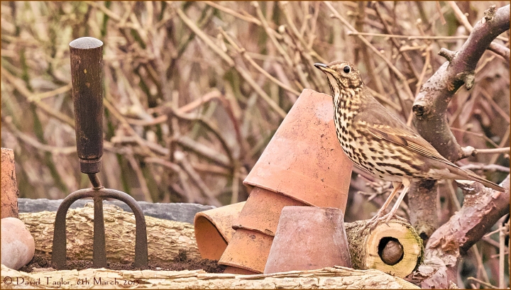 Now where's that snail?