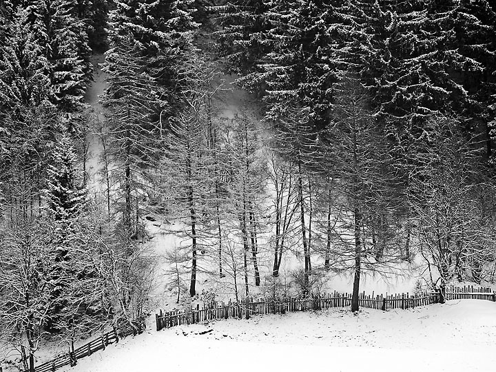 winterscape 1