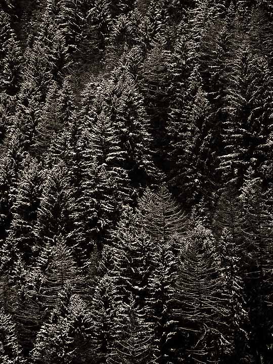 Winterscape 3
