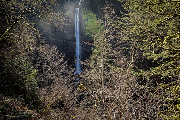 Latrourell Falls Winter Light