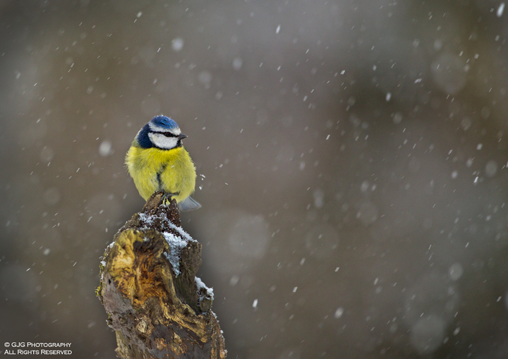 ...and it's still snowing
