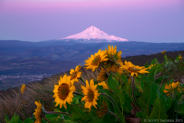 Columbia Hills update - with image