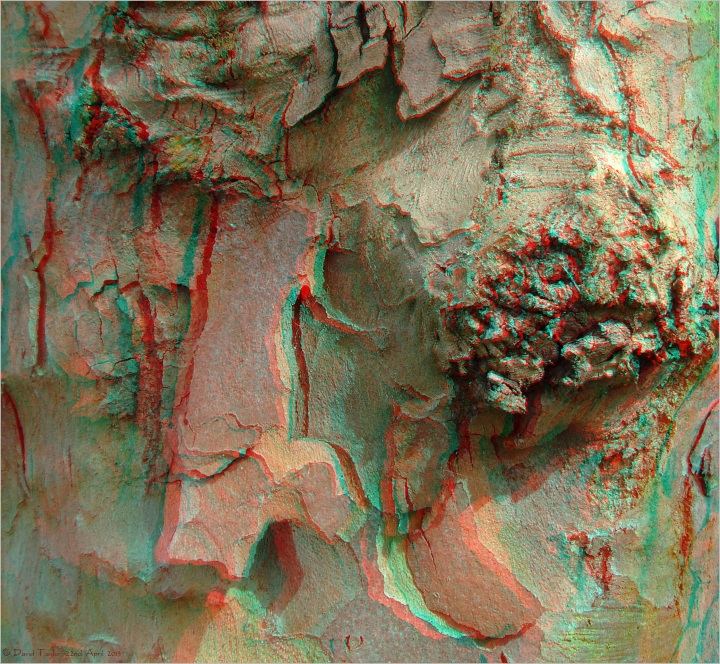 Bark