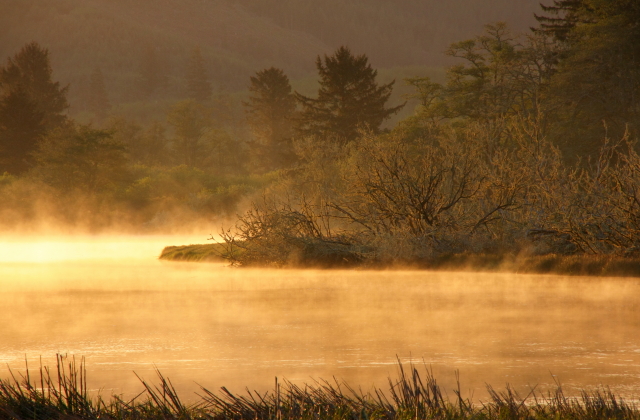 Chinook River Sunrise