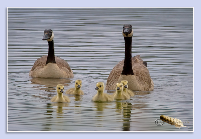 Family Outing