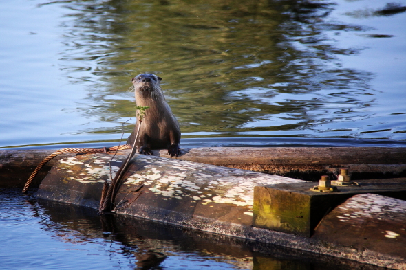 Checking me out.