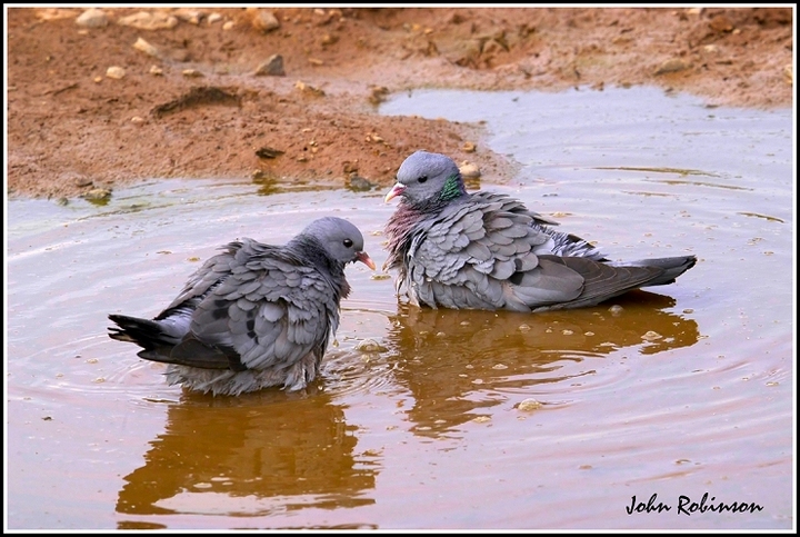 Two reflections !!