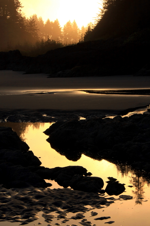 Beard's Hollow Sunrise