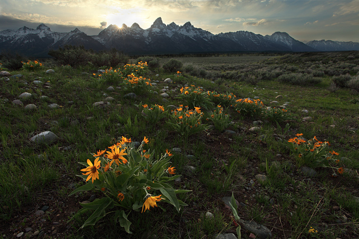 Teton Spring