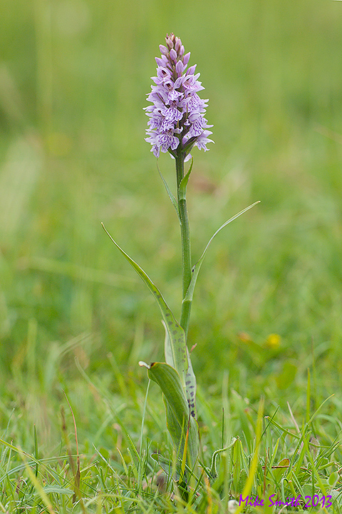 Standing alone