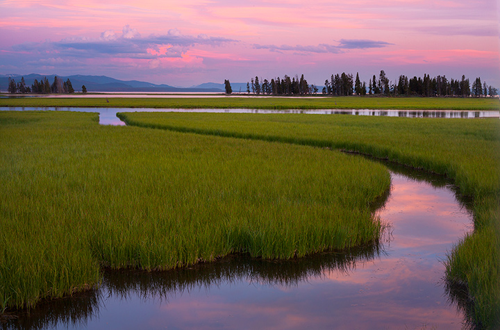 The Greens of Pelican Creek, Yellowstone