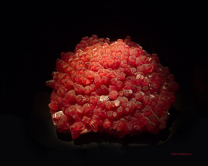 Museum Photography - "Racy Red"