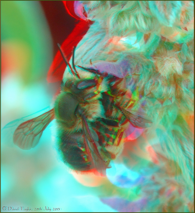They came back!