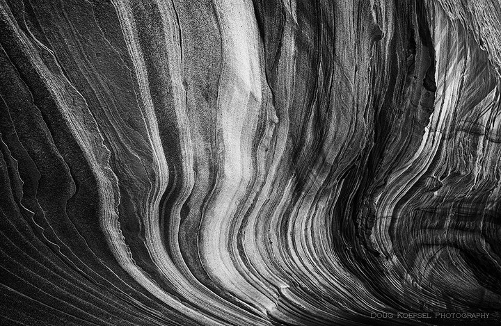 Fins B&W