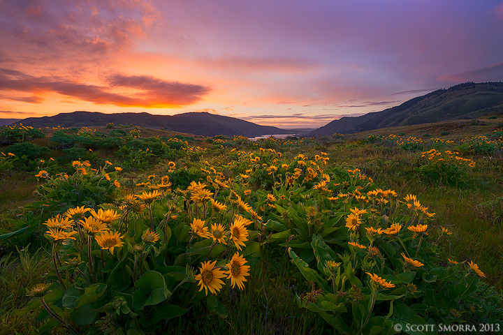 2013 Oregon Wild Photo Contest (Vote Now)