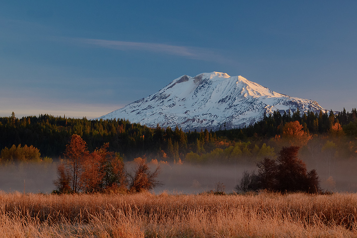 Elk Meadows