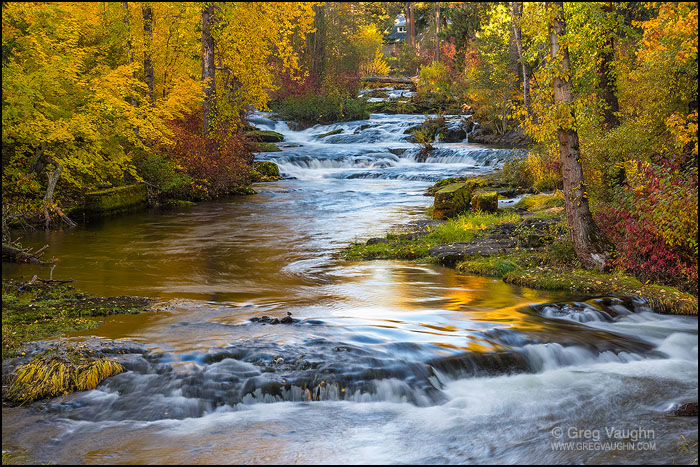 Trout Lake Creek