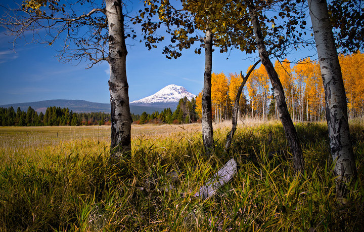 Trout Lake Photo - Multiple