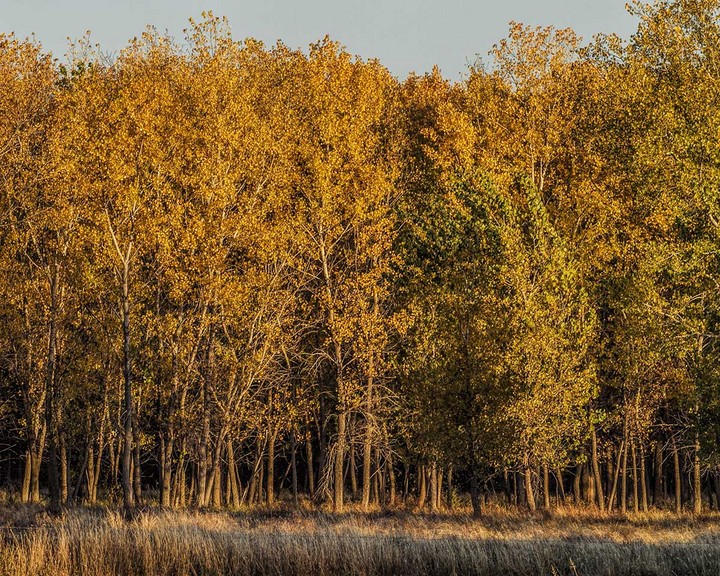 Central Kansas color