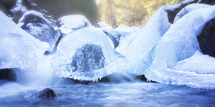 Frozen Jellyfish? w/REPOST or riposte?