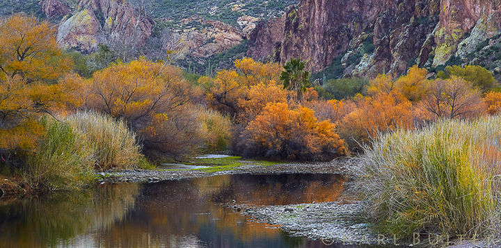 Salt River, Big Bear, and Aguerreberry