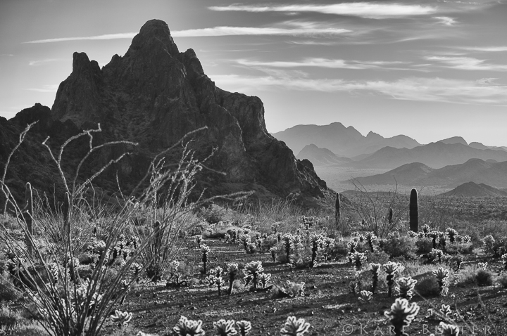 Kofa Cabana