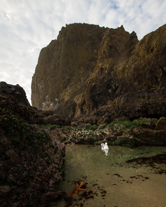 What Not to Do with a Wide Angle Lens