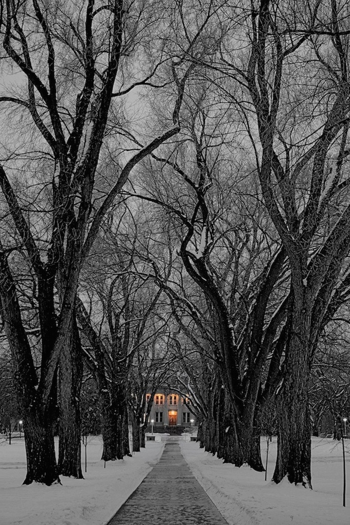 Winter at the Oval