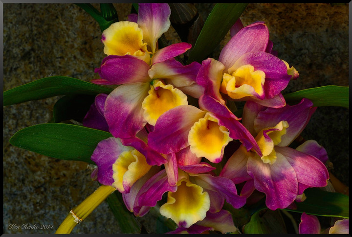 Tropical Bouquet