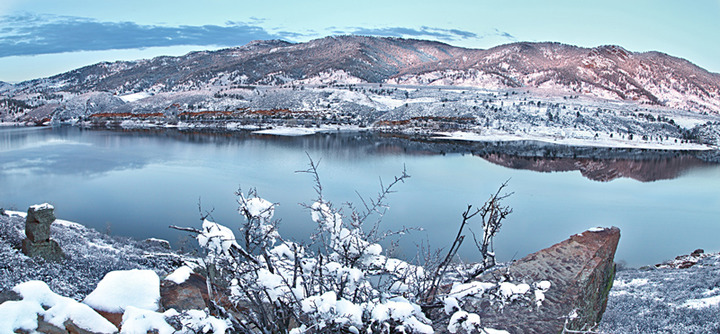 White Horsetooth