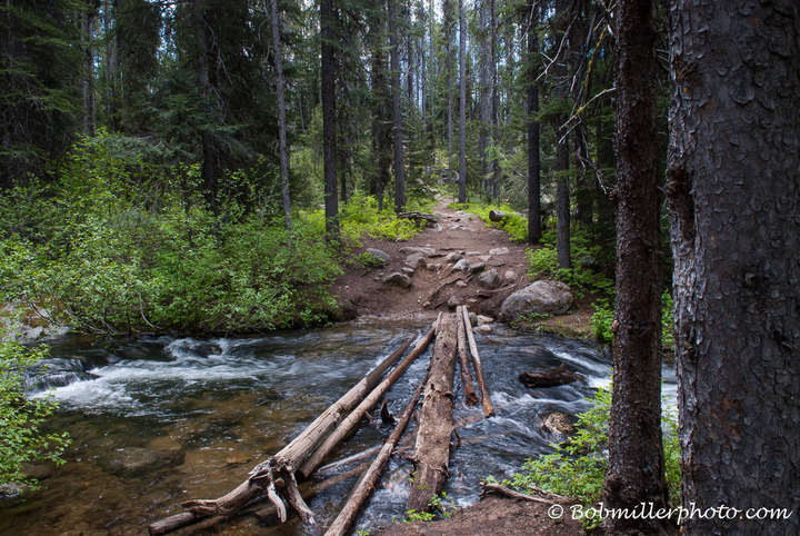 May Theme - Hit the Trail!