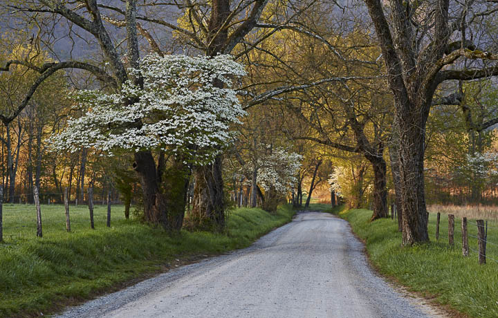 OT - The Great Smoky Mountains + repost