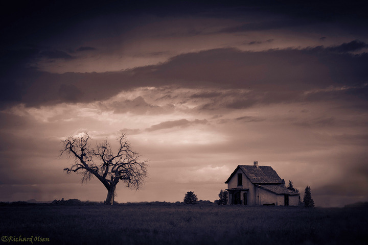 Bygone Dreams