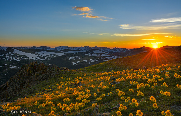Flower explosion on the Tundra