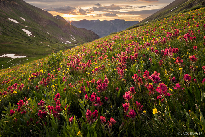 Stony Pass Paintbrushes