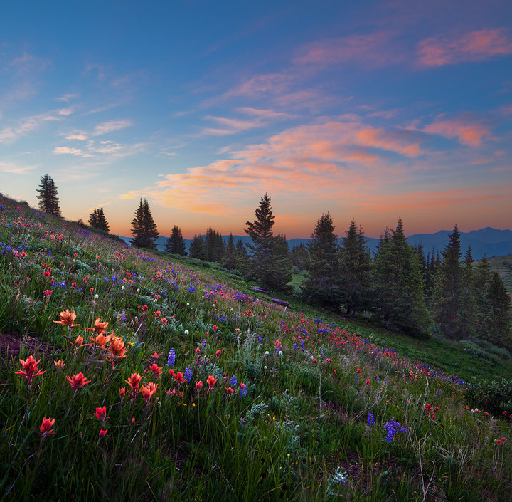 Shrine Ridge