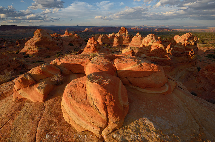 Coyote Buttes