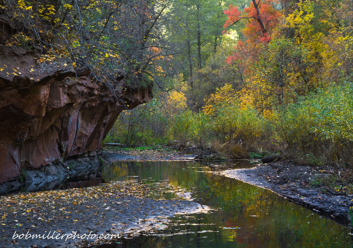 November Theme: Fall's End