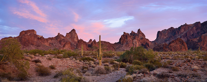 King of Arizona