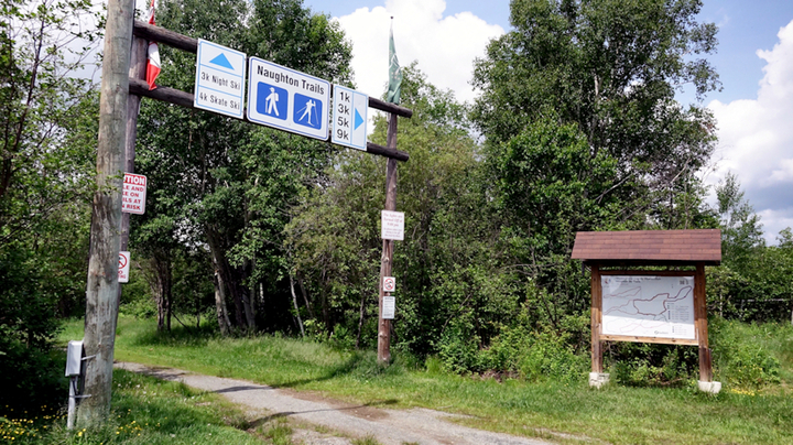Birding & Hiking in Naughton Ontario