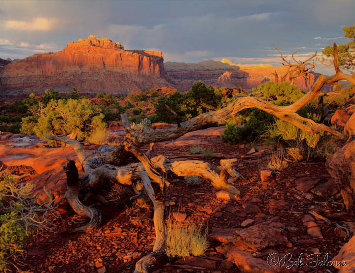 Capitol Reef sunset