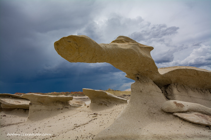 October Theme: Effects of Wind